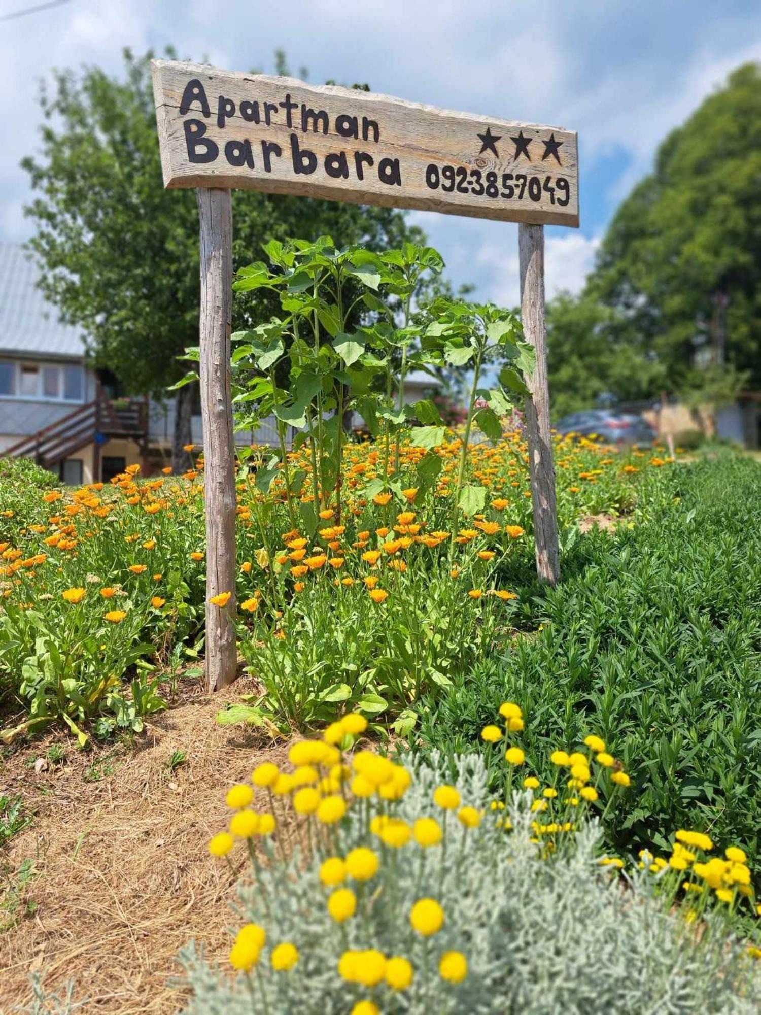 Barbara Appartamento